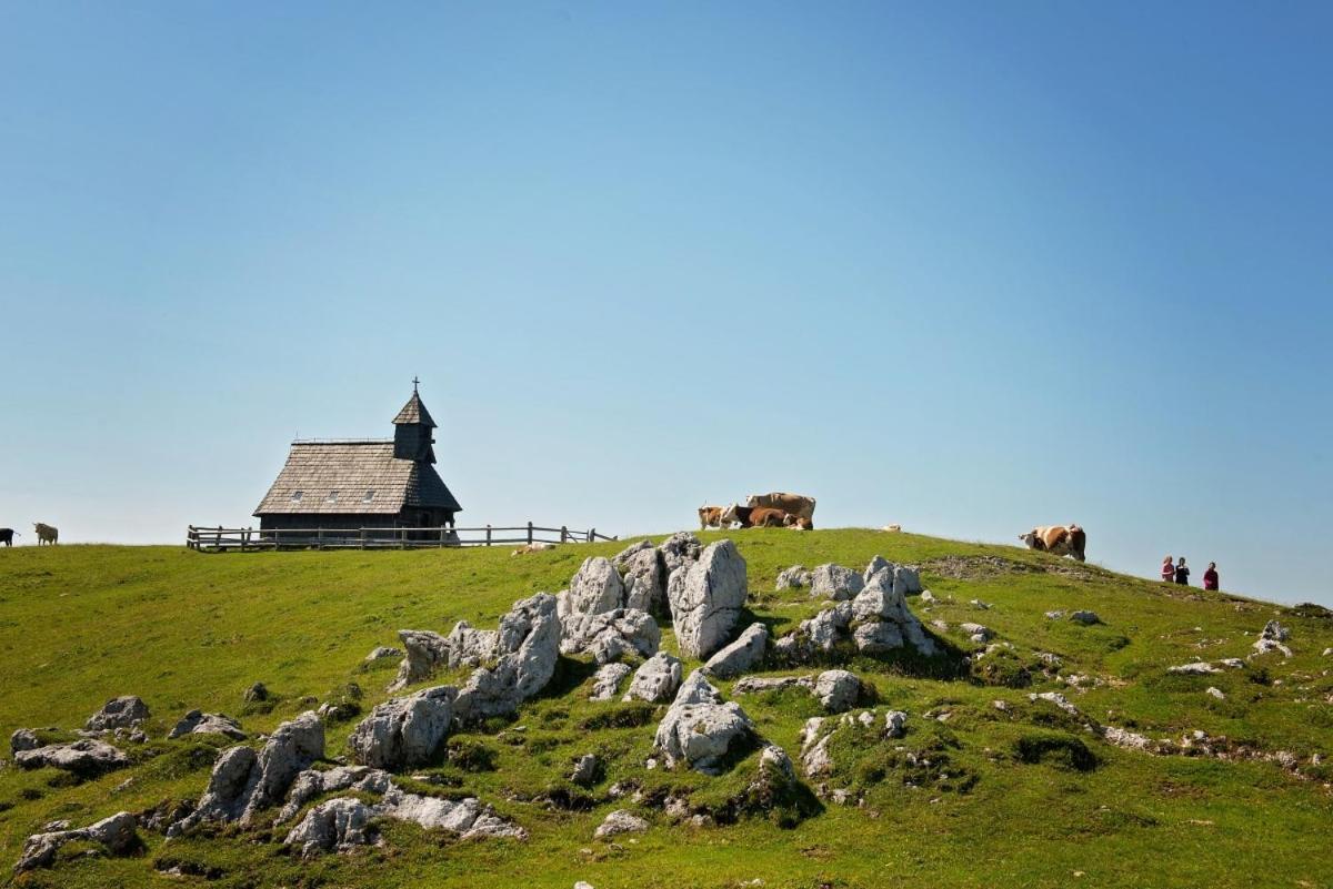 Villa Koca Predilnica Velika Planina à Kamniska Bistrica Extérieur photo