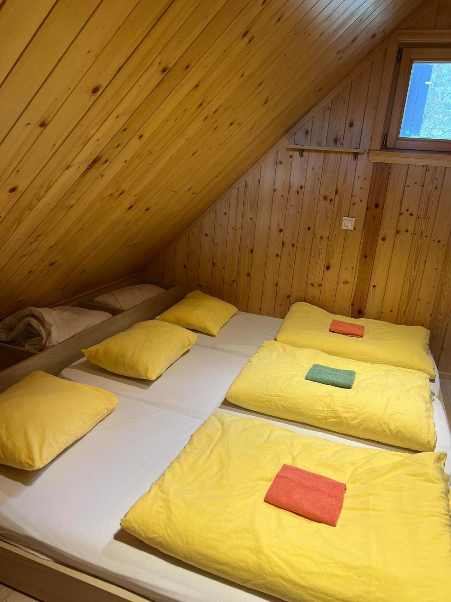 Villa Koca Predilnica Velika Planina à Kamniska Bistrica Extérieur photo