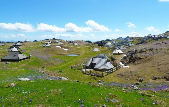 Villa Koca Predilnica Velika Planina à Kamniska Bistrica Extérieur photo