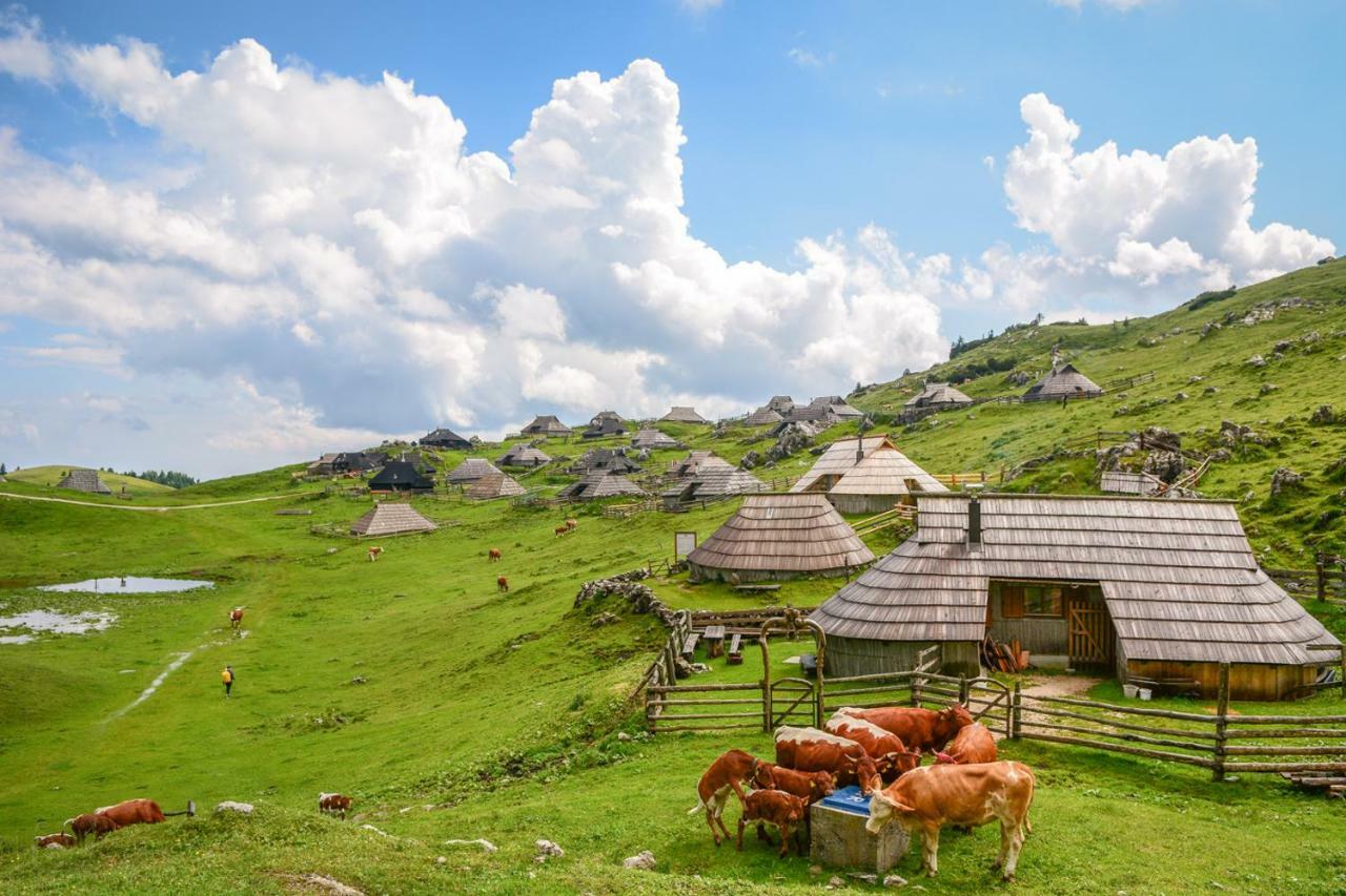 Villa Koca Predilnica Velika Planina à Kamniska Bistrica Extérieur photo
